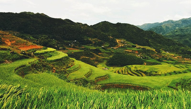 贝斯特--全球最奢华的游戏平台