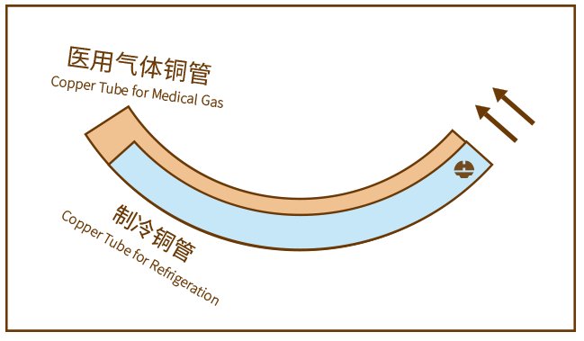 贝斯特--全球最奢华的游戏平台