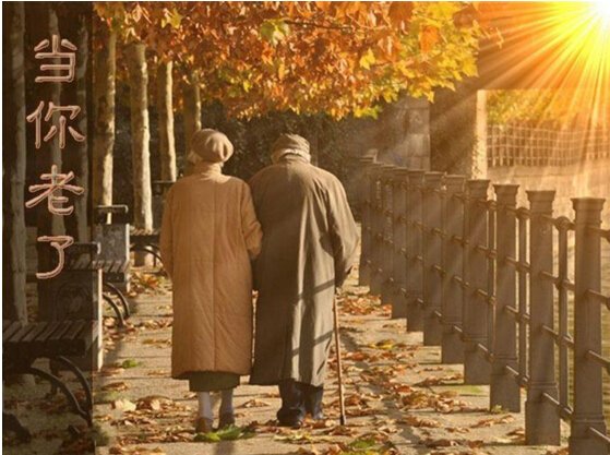 贝斯特--全球最奢华的游戏平台